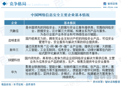2023年中國網絡信息安全市場 軟件與服務崛起，競爭格局重構